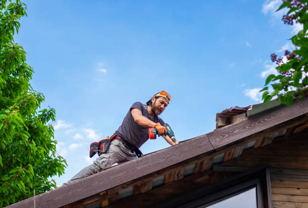 Best 4 Ply Roofing  in Forest City, NC
