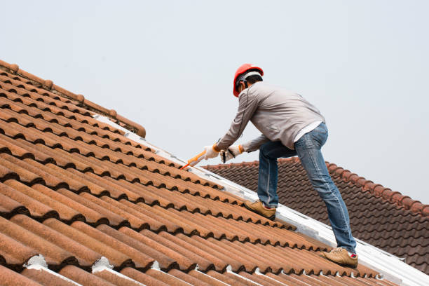 Best Roof Leak Repair  in Forest City, NC